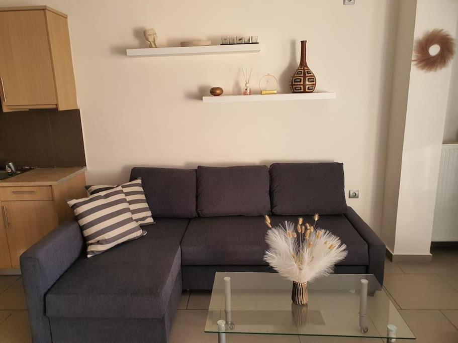 Korais Apartment, Chania Crete Kounoupidhianá Eksteriør billede